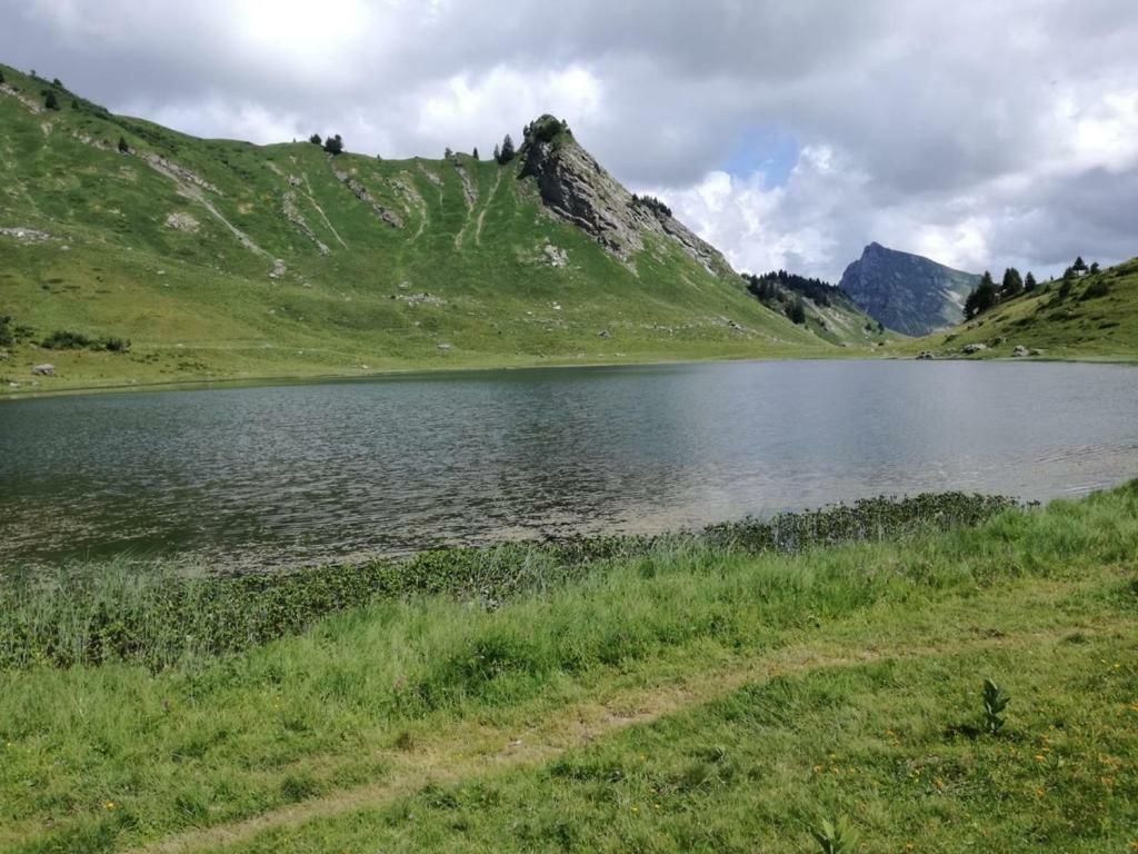 Апартаменты Le Genepi Танэнж Экстерьер фото